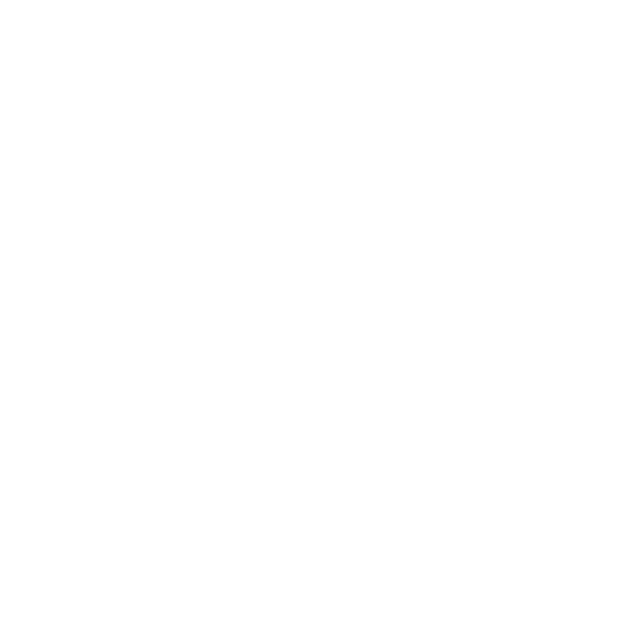 Vida Carioca